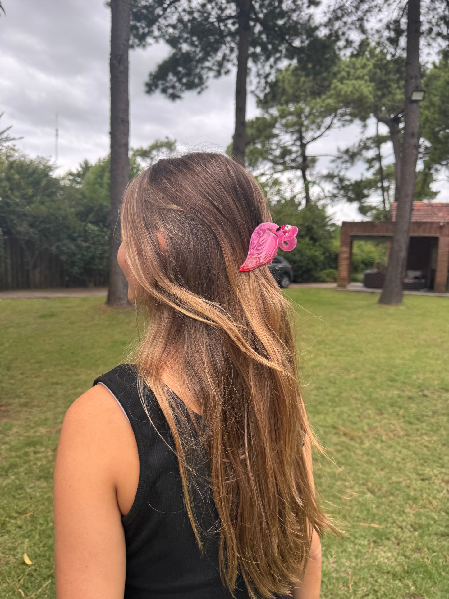 Broche Flamingo